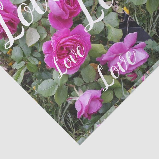  Roze  Roos Bloemvederdag liefde  Tissuepapier (Detail)