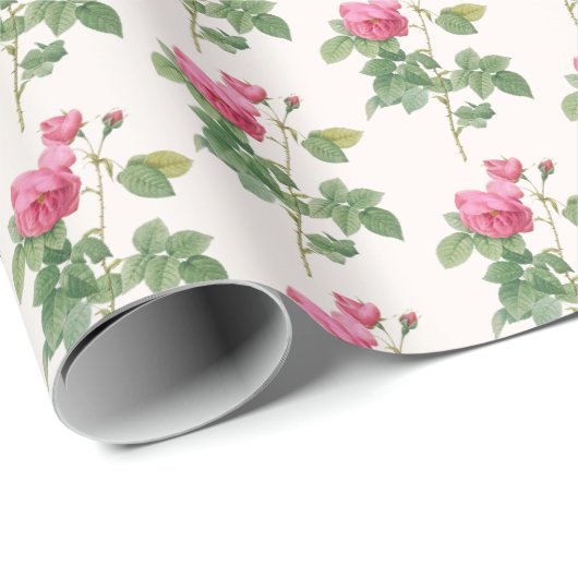 Roze  Roos Botanisch Cadeaupapier (Rol Hoek)