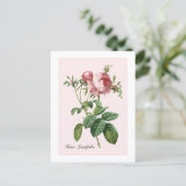 Roze Roos Botanische Redoute Briefkaart (Staand voorkant)