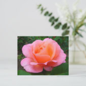 Roze Roos Briefkaart (Staand voorkant)