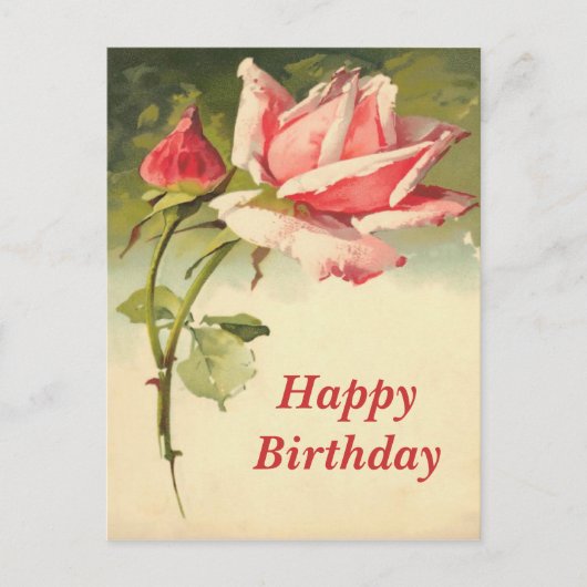 Roze Roos Briefkaart (Voorkant)