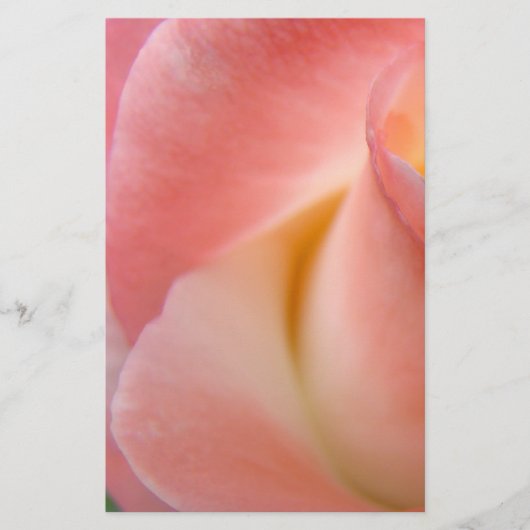 Roze Roos Briefpapier Personaliseer Bloemengeschen (Voorkant)