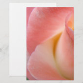 Roze Roos Briefpapier Personaliseer Bloemengeschen (Voorkant / Achterkant)