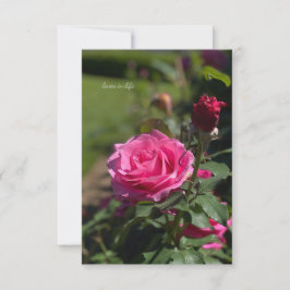 Roze Roos & Bud Notitiekaartje