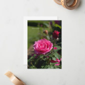 Roze Roos & Bud Notitiekaartje (Voorkant / Achterkant in situ)
