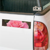 Roze Roos Bumpersticker (Op Truck)