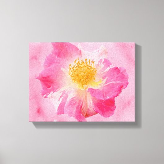 Roze Roos Canvas Afdruk (Voorkant)