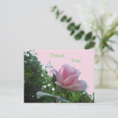 Roze Roos Close-up Bedankkaart Briefkaart (Staand voorkant)