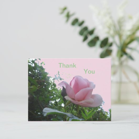 Roze Roos Close-up Bedankkaart Briefkaart (Staand voorkant)