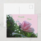 Roze Roos Close-up Bedankkaart Briefkaart (Voorkant / Achterkant)
