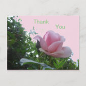Roze Roos Close-up Bedankkaart Briefkaart (Voorkant)