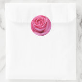 Roze Roos Close-Up Ronde Sticker (Tas)
