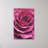 Roze Roos Close-Up Textuur Abstracte Wandkunst Canvas Afdruk (Voorkant)