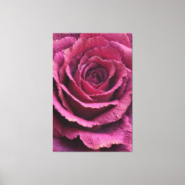 Roze Roos Close-Up Textuur Abstracte Wandkunst Canvas Afdruk