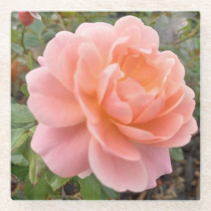 Roze Roos Coster Glazen Onderzetter