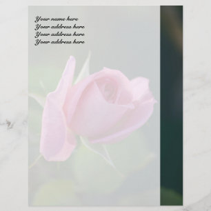 Roze Roos Custom Briefhoofd