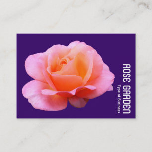Roze Roos (Diep Paars) Visitekaartje