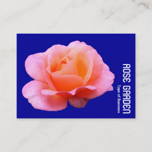 Roze Roos (Diepblauw) Visitekaartje