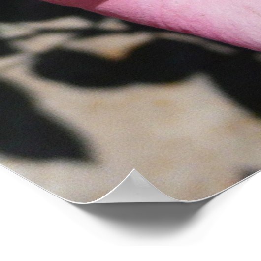 Roze roos en Bud Garden Bloemen Poster (Hoek)