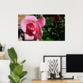 Roze roos en Bud Garden Bloemen Poster (Thuiskantoor)