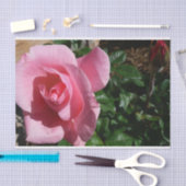 Roze roos en Bud Garden Bloemen Tissuepapier (Craft)