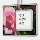 Roze roos en Bud Garden Bloemen Verzilverd Omlijst Ornament (Links)