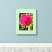 Roze Roos en een Vlieg Canvas Afdruk (Insitu (Houten vloer))