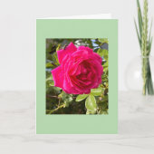 Roze Roos en een Vlieg Kaart (Voorkant)