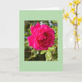 Roze Roos en een Vlieg Kaart (Gele Bloem)
