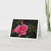 Roze Roos en Roosknoppen Portret Kaart (Voorkant)