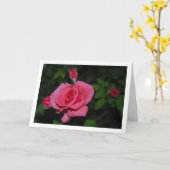 Roze Roos en Rozenknoppen Portret Kaart (Gele Bloem)