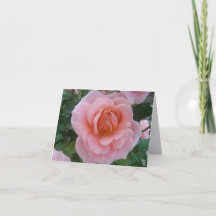 Roze Roos Fijne Kunst Fotografie Vouwbare Notitie