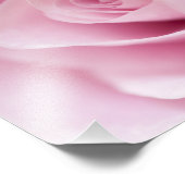 Roze Roos Foto Afdruk (Hoek)