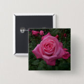 Roze Roos Foto Vierkante Button 5,1 Cm (Voorkant /achterkant)