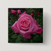 Roze Roos Foto Vierkante Button 5,1 Cm (Voorkant)