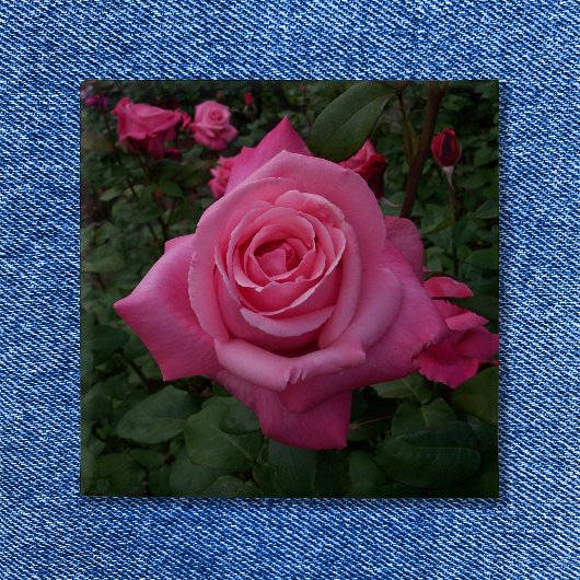 Roze Roos Foto Vierkante Button 5,1 Cm