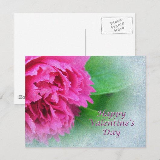 roze roos gelukkig valentijnsdag feestdagenkaart (Voorkant / Achterkant)