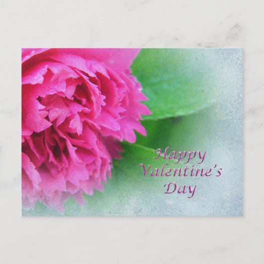 roze roos gelukkig valentijnsdag feestdagenkaart (Voorkant)