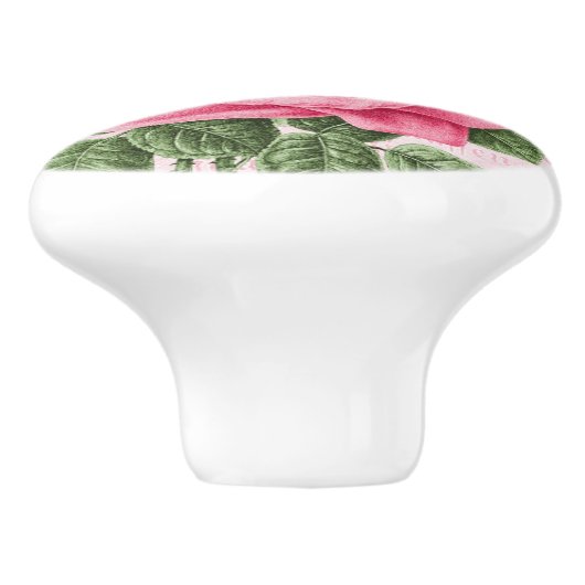 Roze  roos, girale keramische knop (Zijkant)