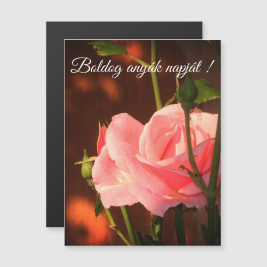 Roze roos Hongaars Moederdag - magnetische kaart (Voorkant / Achterkant)
