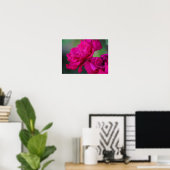 Roze Roos in Bloei Poster (Thuiskantoor)
