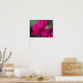 Roze Roos in Bloei Poster (Keuken)