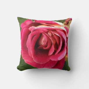 Roze roos in een tuin kussen