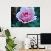 Roze roos in het groen poster (Thuiskantoor)