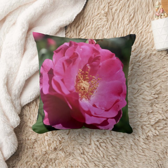 Roze Roos In Volle Bloei Close Up  Kussen (Deken)