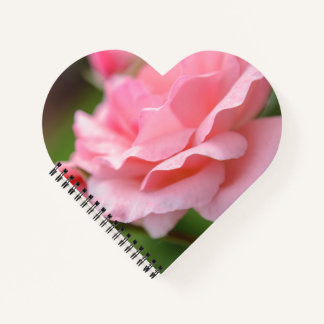 Roze roos ingepakt canvas notitieboek