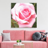 Roze Roos Ingepakte Canvasprint Canvas Afdruk (Insitu (Woonkamer))