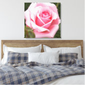 Roze Roos Ingepakte Canvasprint Canvas Afdruk (Insitu (Slaapkamer))
