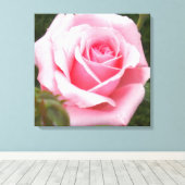 Roze Roos Ingepakte Canvasprint Canvas Afdruk (Insitu (Houten vloer))
