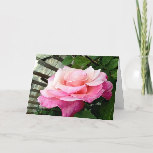 Roze Roos Kaart (Voorkant)